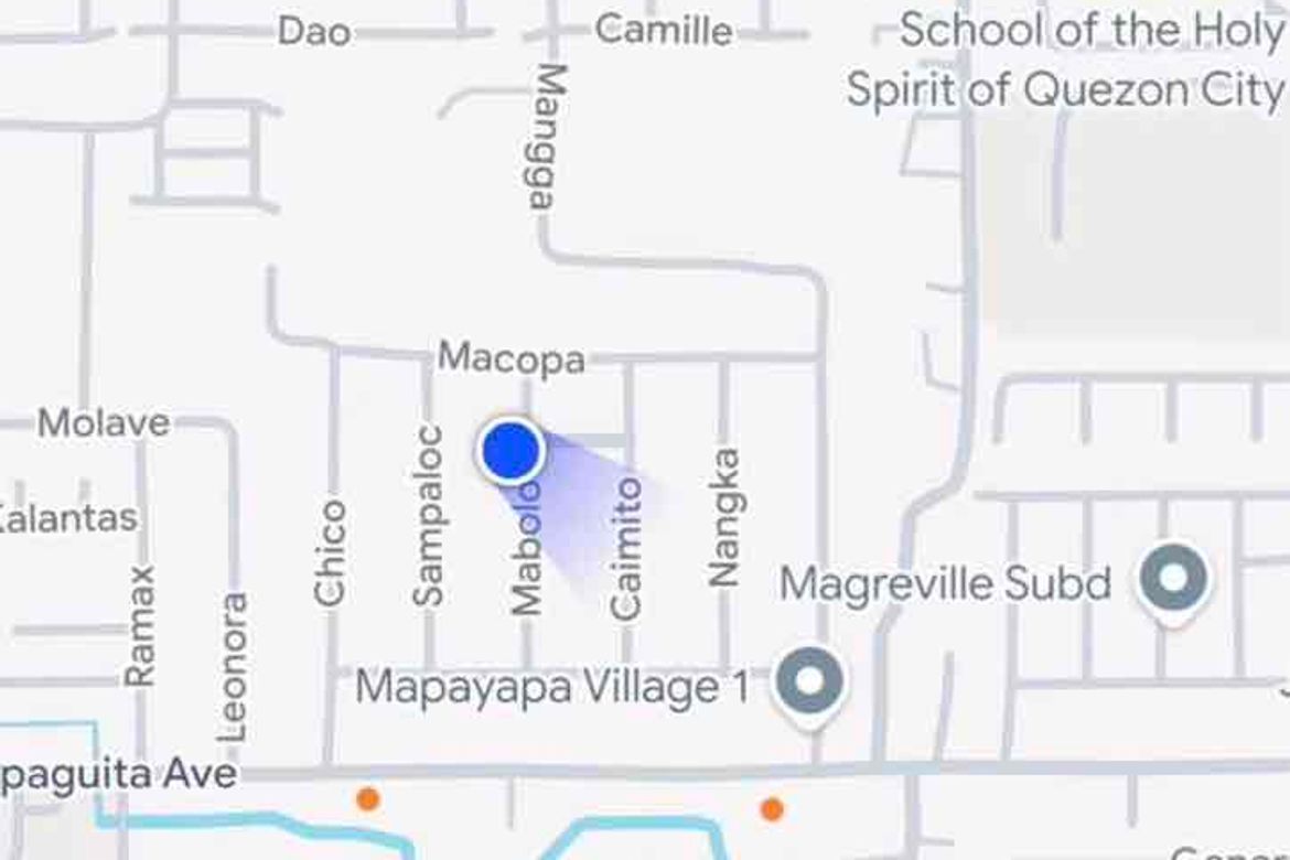 9 Bedroom House for Sale in Pasong Tamo, Quezon City, Metro Manila – photo 2