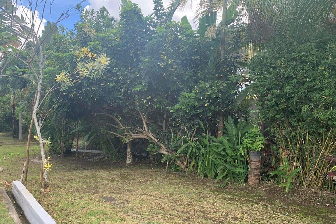 Apartment for Sale in Balabag West, Valencia, Negros Oriental – photo 7