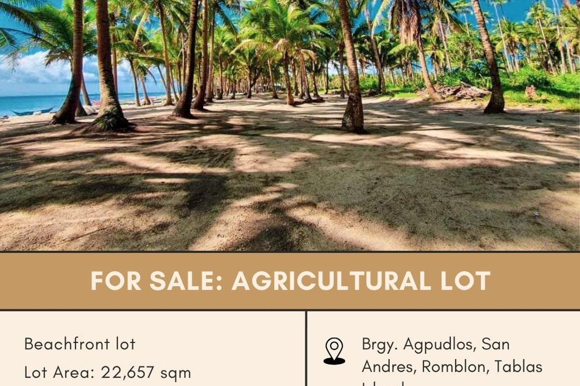 Commercial for Sale in Agpudlos, San Andres, Romblon