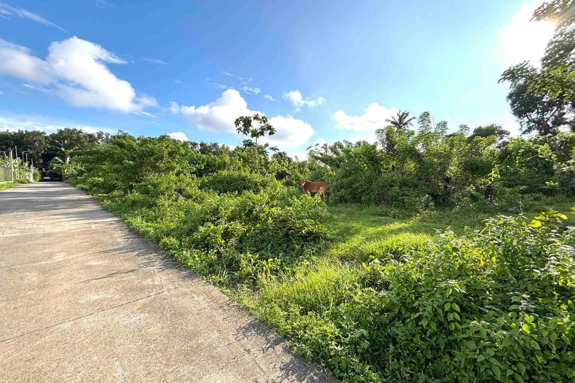 Commercial for Sale in Banaybanay, Amadeo, Cavite