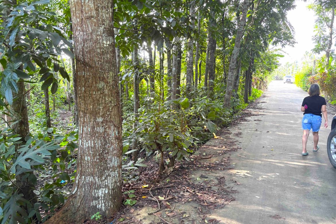 Commercial for Sale in Banaybanay, Amadeo, Cavite – photo 3