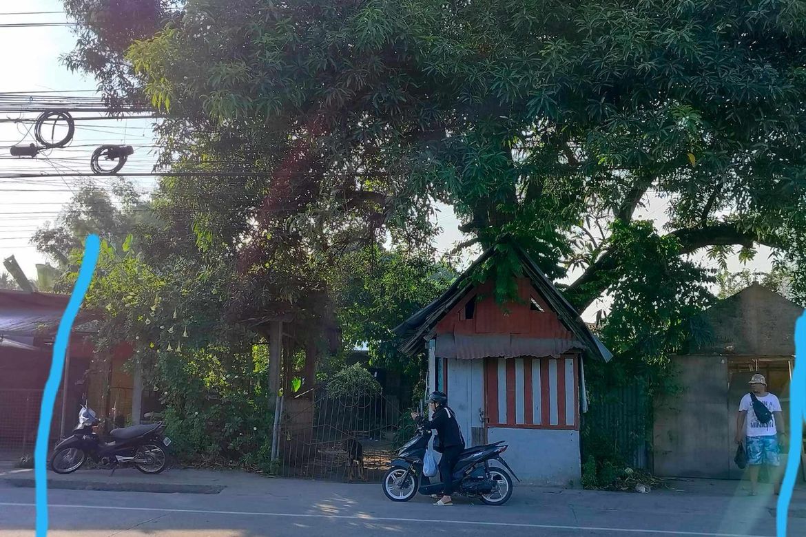 Commercial for Sale in Banilad, Bacong, Negros Oriental