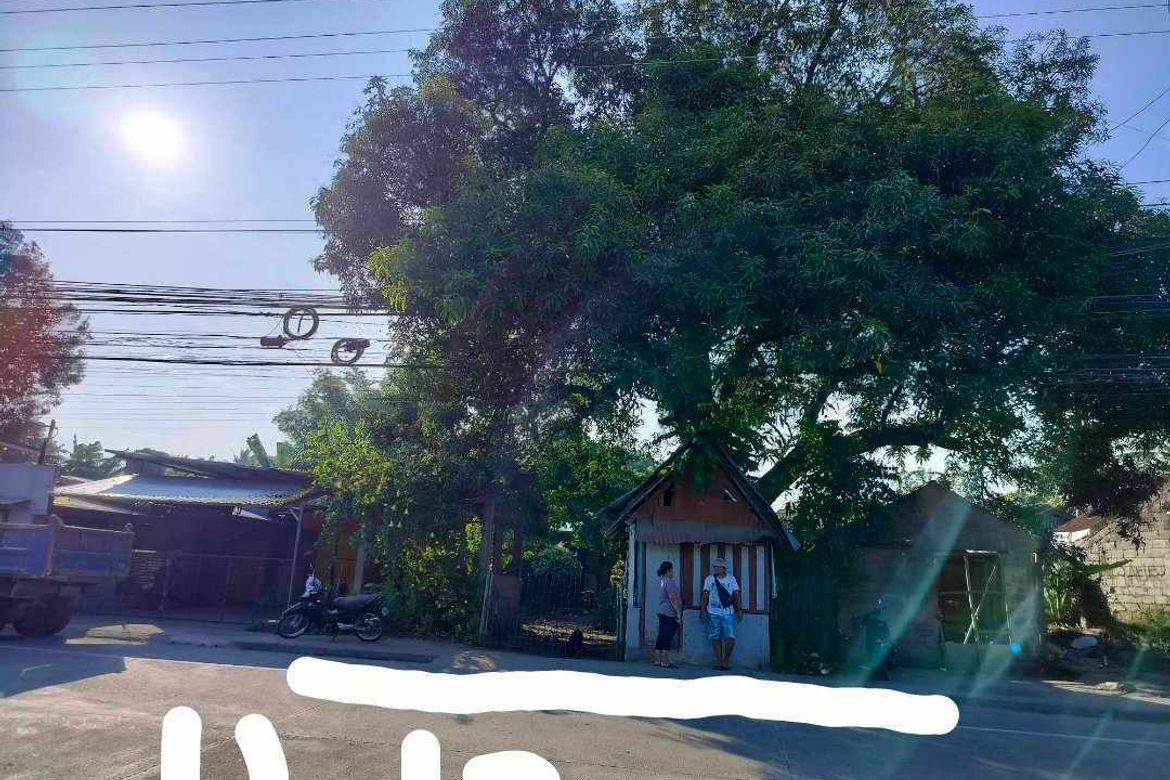 Commercial for Sale in Banilad, Bacong, Negros Oriental – photo 4