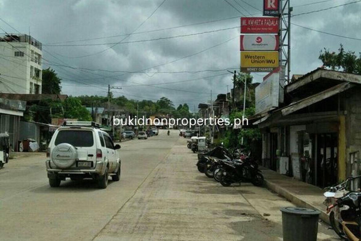 Commercial for Sale in Bismartz, Don Carlos, Bukidnon – photo 2