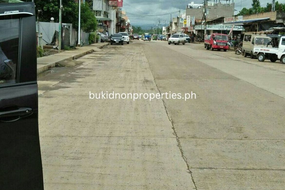 Commercial for Sale in Bismartz, Don Carlos, Bukidnon – photo 3