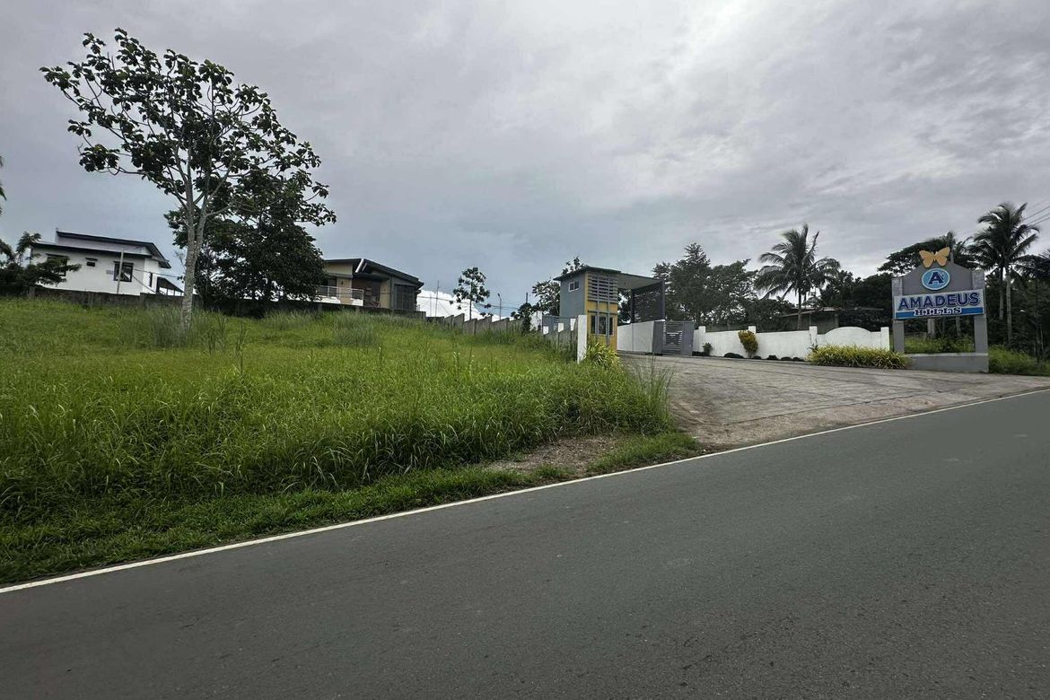 Commercial for Sale in Bucal, Amadeo, Cavite – photo 2