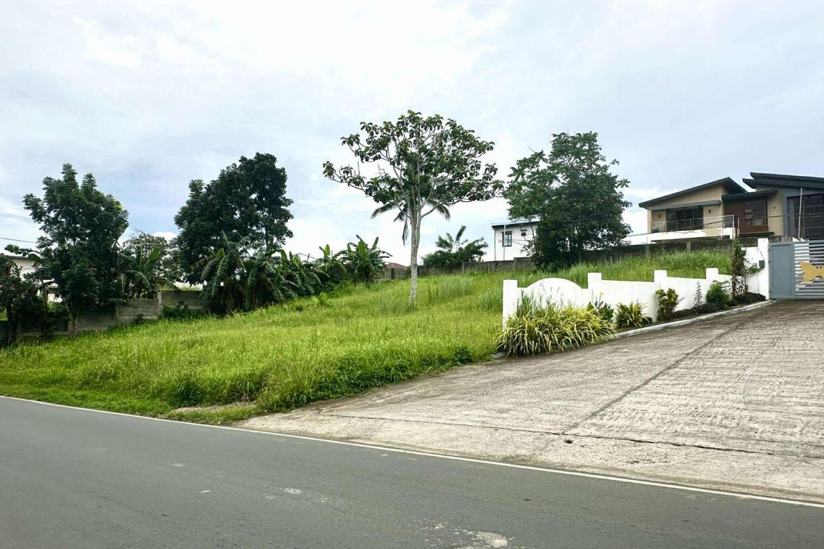 Commercial for Sale in Bucal, Amadeo, Cavite – photo 3