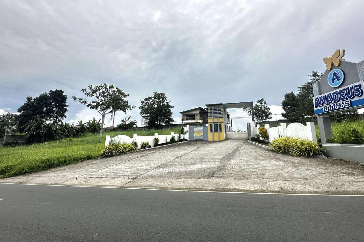 Commercial for Sale in Bucal, Amadeo, Cavite – photo 5