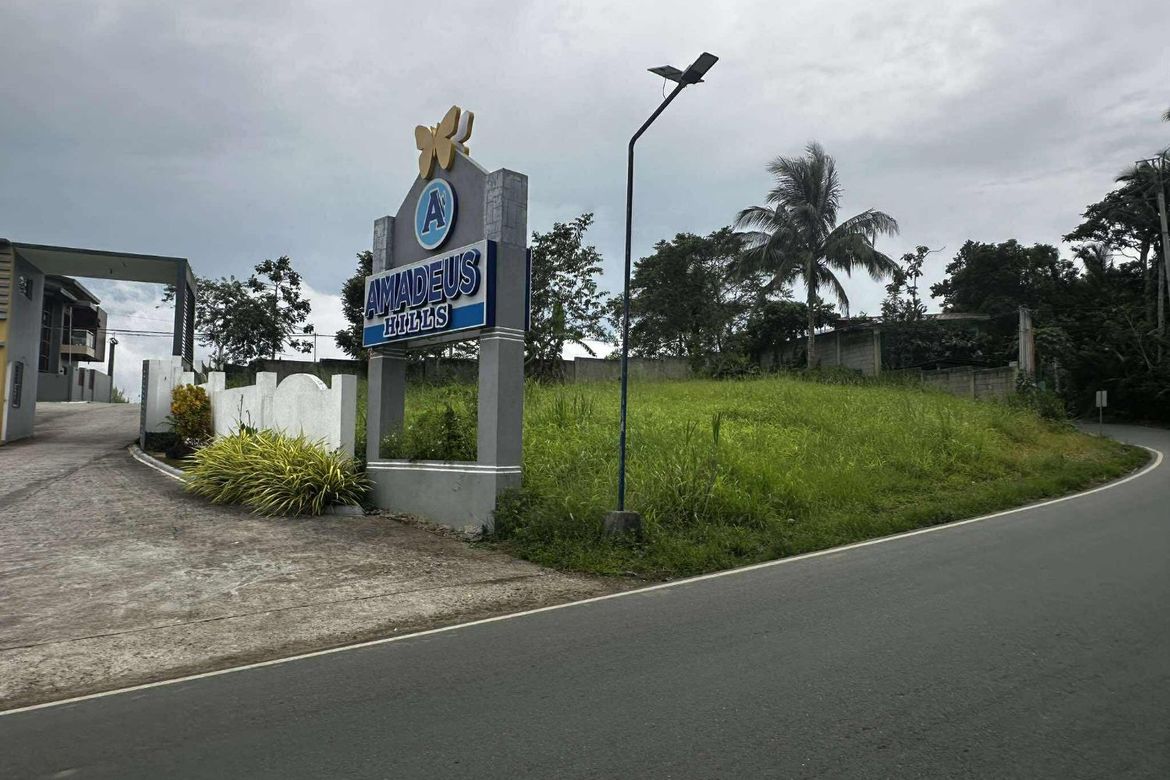 Commercial for Sale in Bucal, Amadeo, Cavite – photo 7