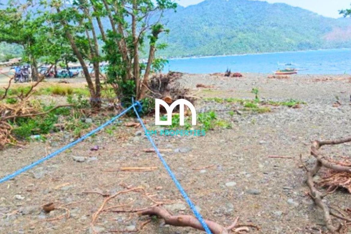 Commercial for Sale in Caragsacan, Dingalan, Aurora – photo 3