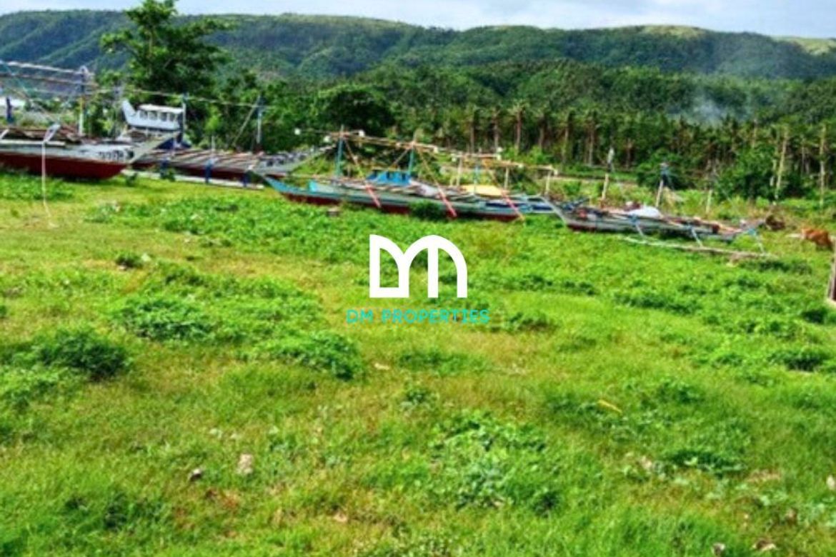 Commercial for Sale in Caragsacan, Dingalan, Aurora – photo 4
