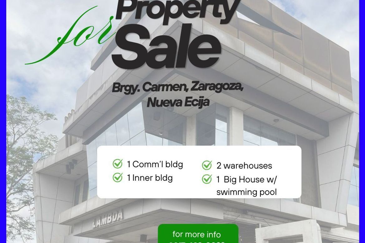 Commercial for Sale in Concepcion, Zaragoza, Nueva Ecija