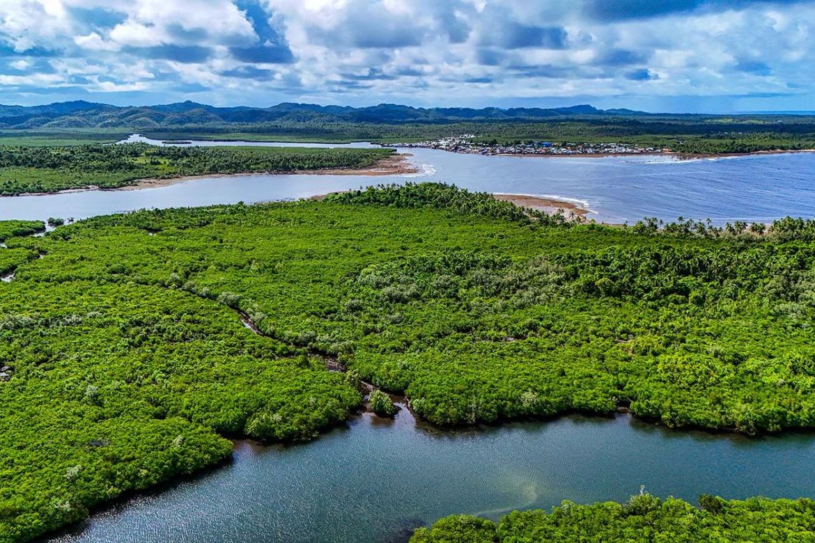 Commercial for Sale in Datu, Pilar, Surigao del Norte – photo 3