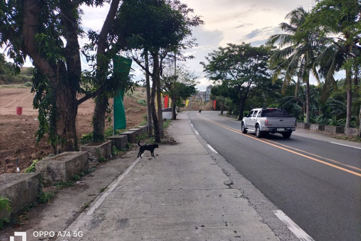 Commercial for Sale in Halayhayin, Pililla, Rizal – photo 6