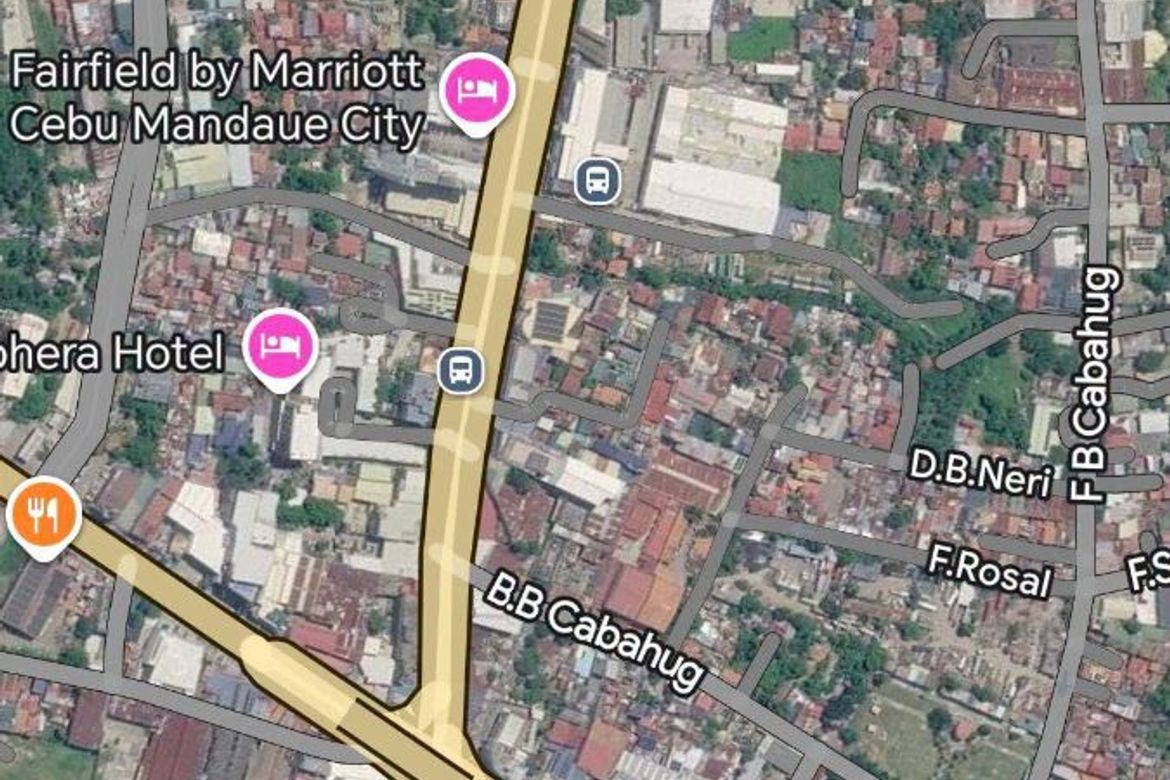 Commercial for Sale in Ibabao-Estancia, Mandaue, Cebu