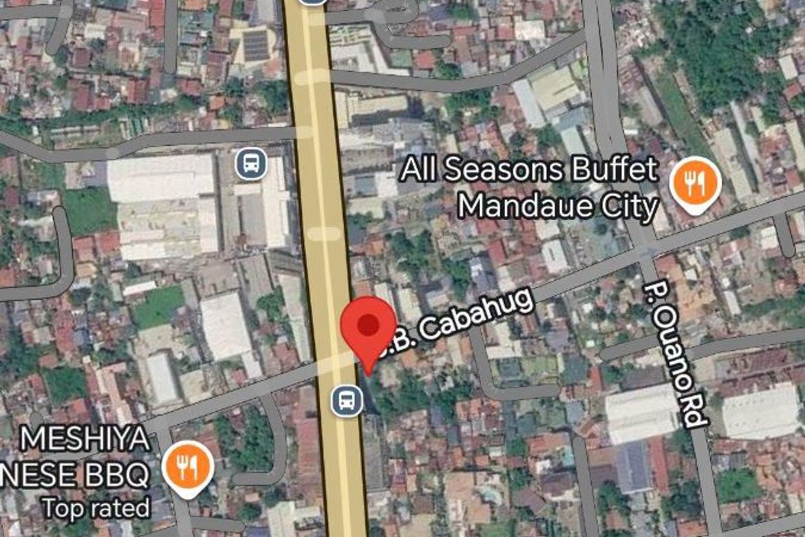 Commercial for Sale in Ibabao-Estancia, Mandaue, Cebu – photo 2