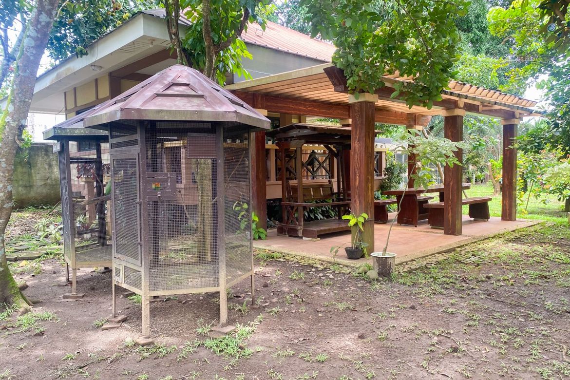 Commercial for Sale in Kanluran, Calauan, Laguna – photo 2