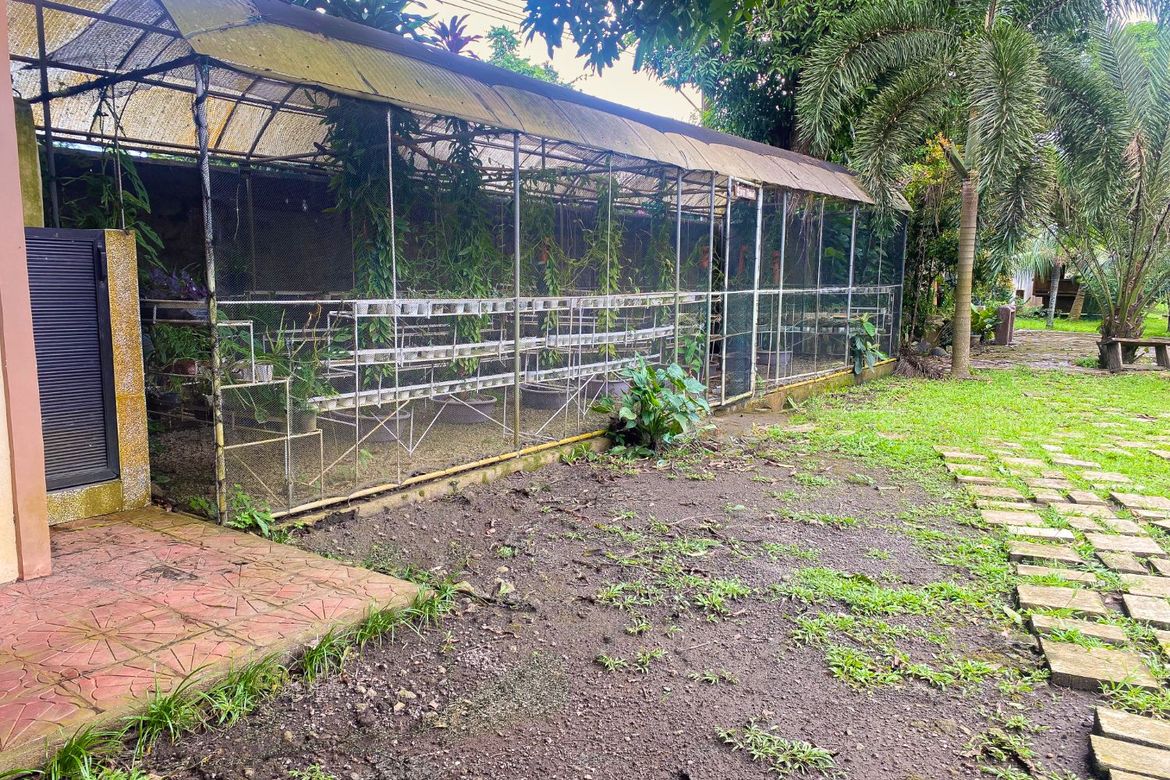 Commercial for Sale in Kanluran, Calauan, Laguna – photo 3