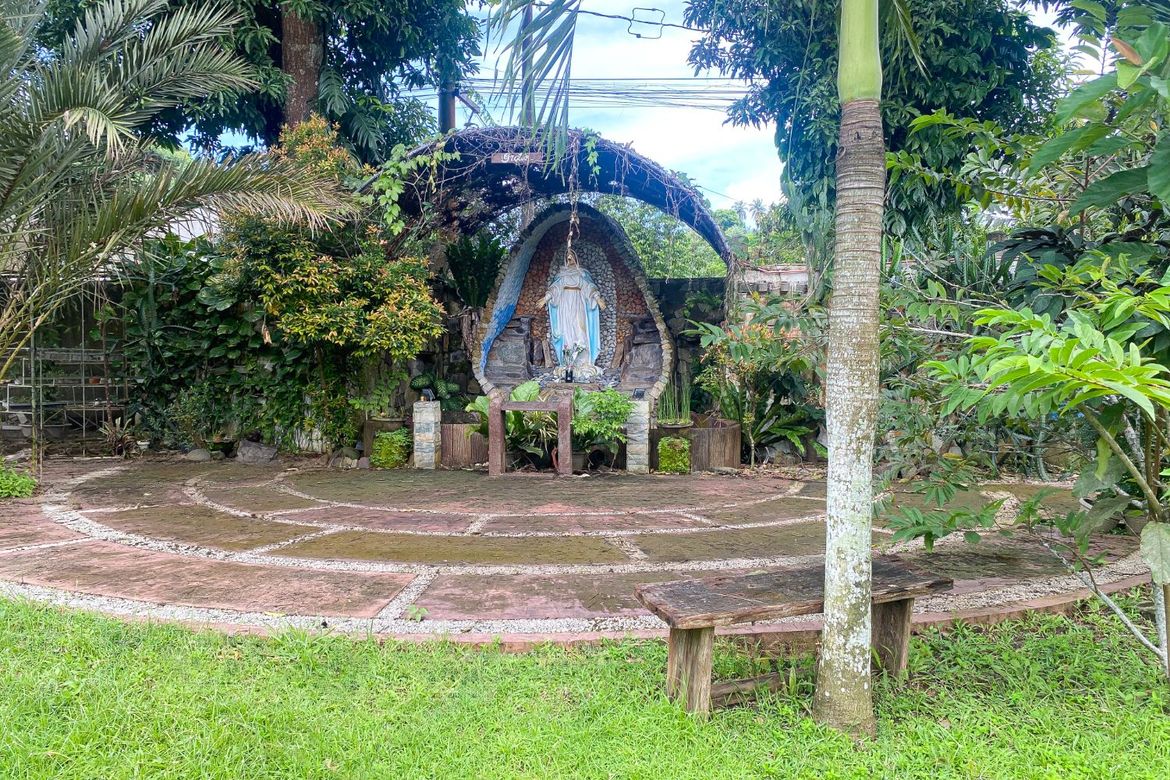 Commercial for Sale in Kanluran, Calauan, Laguna – photo 4
