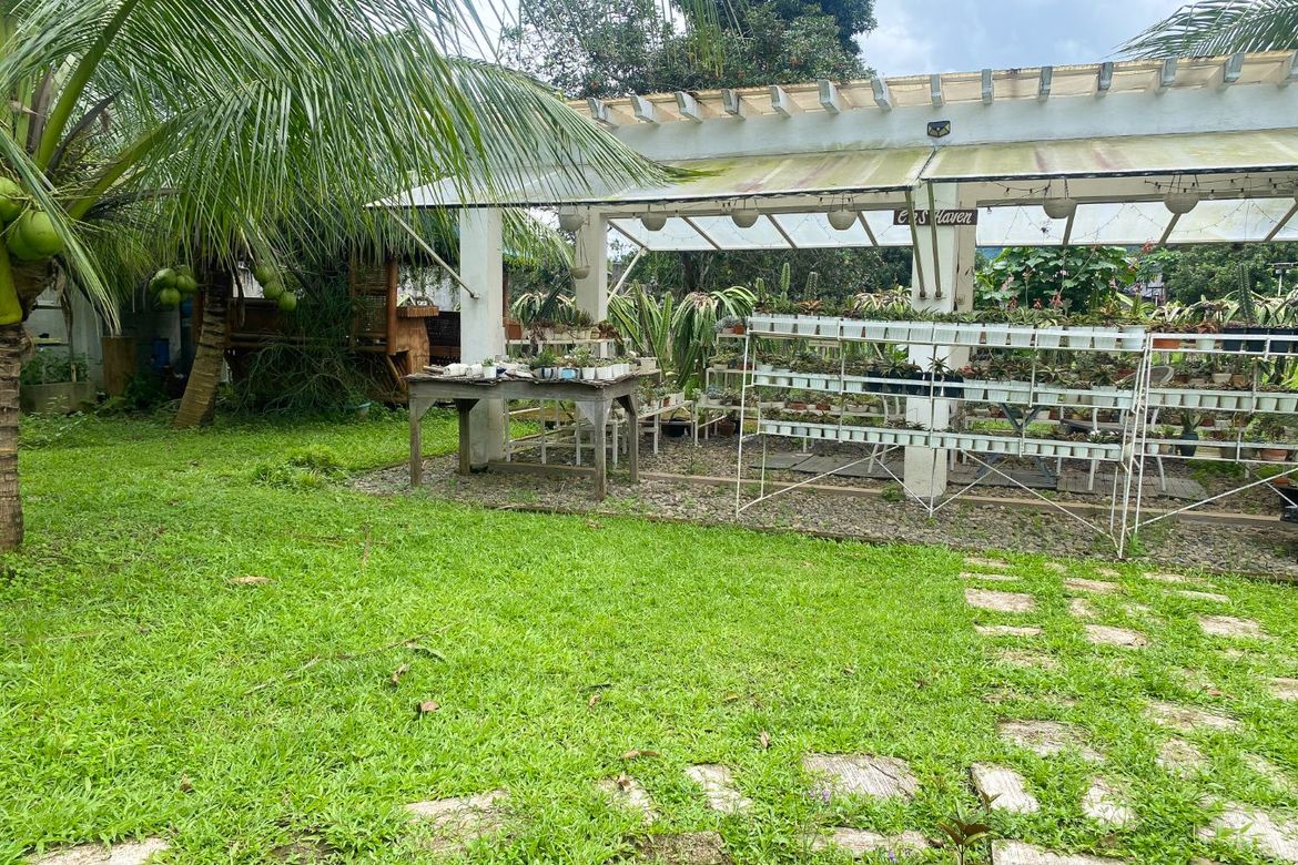 Commercial for Sale in Kanluran, Calauan, Laguna – photo 5