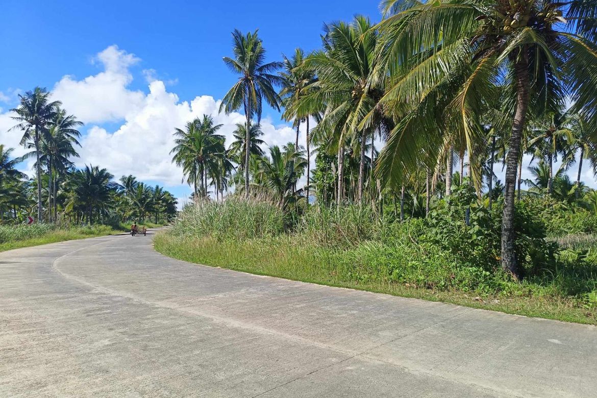 Commercial for Sale in Libertad, General Luna, Surigao del Norte – photo 3