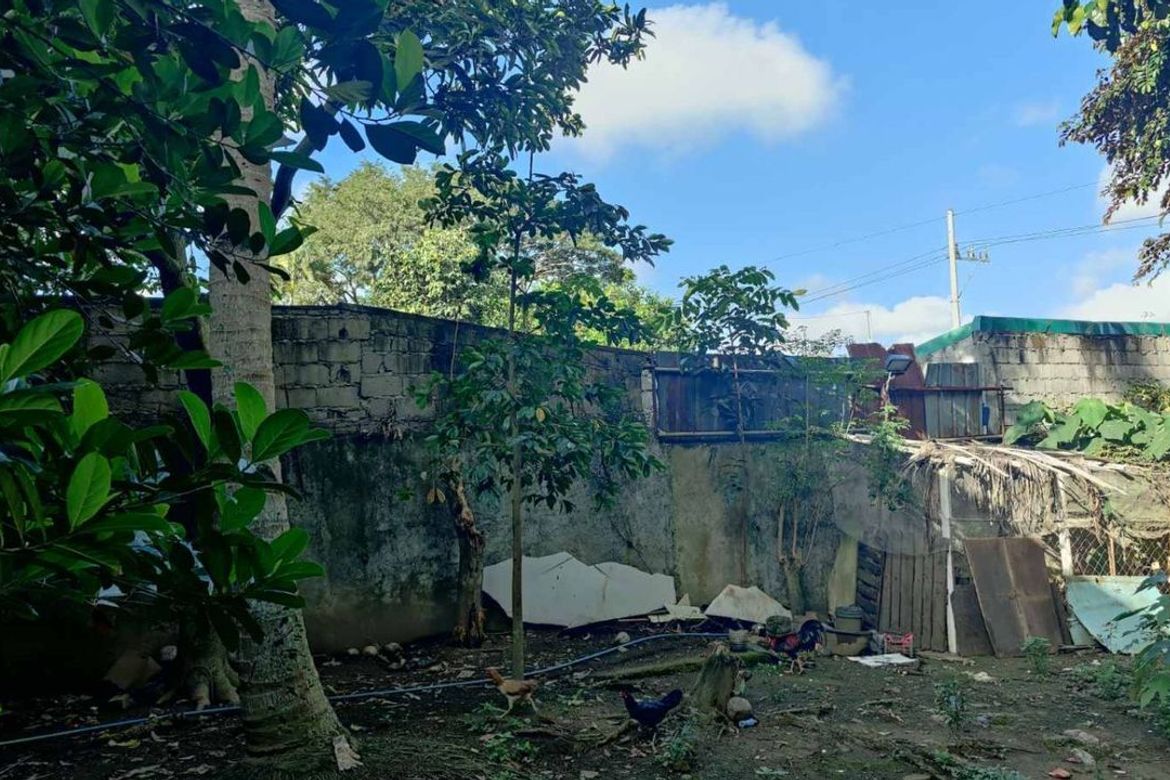 Commercial for Sale in Mabuhay, Carmona, Cavite – photo 2
