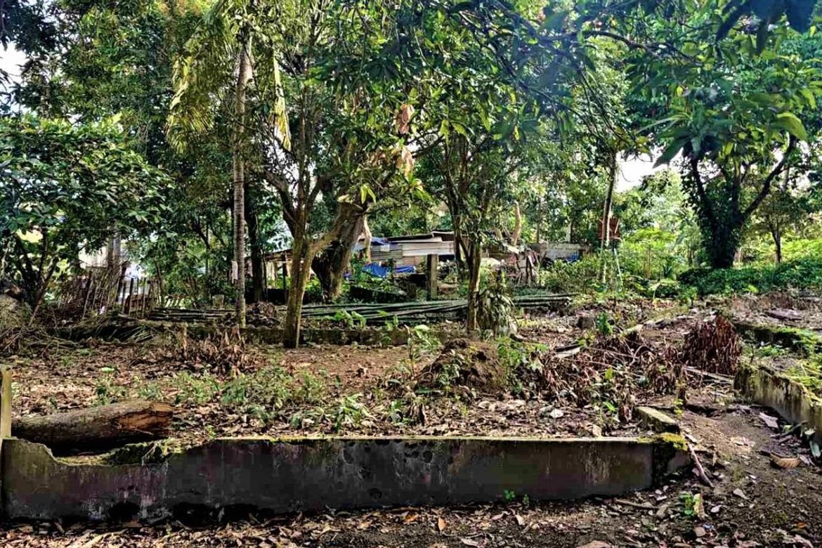 Commercial for Sale in Mabuhay, Carmona, Cavite – photo 4