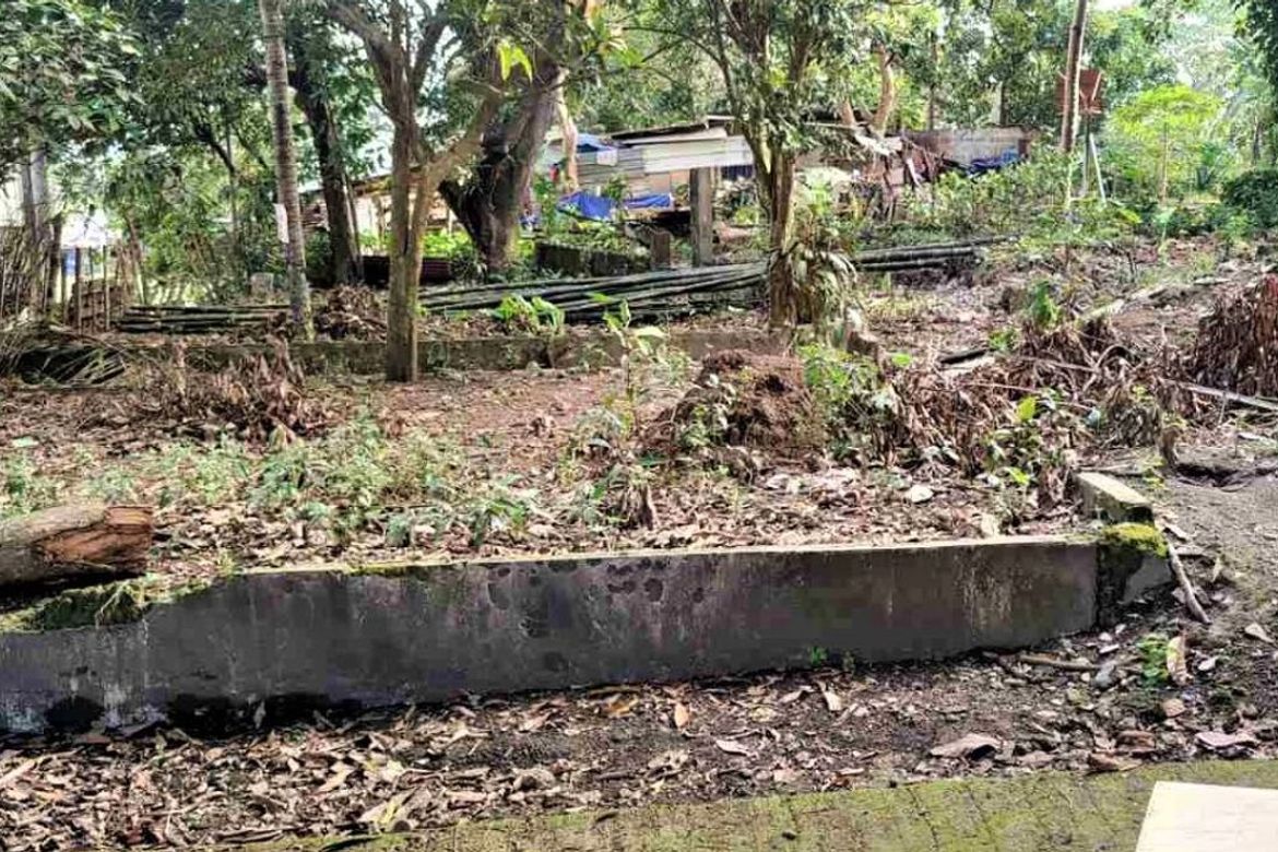 Commercial for Sale in Mabuhay, Carmona, Cavite – photo 8