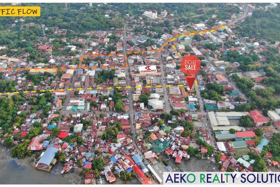 Commercial for Sale in Malingin, Bogo, Cebu