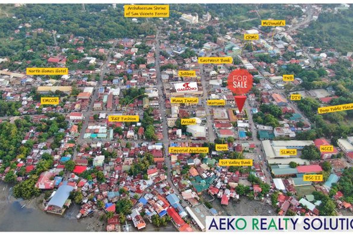 Commercial for Sale in Malingin, Bogo, Cebu – photo 2