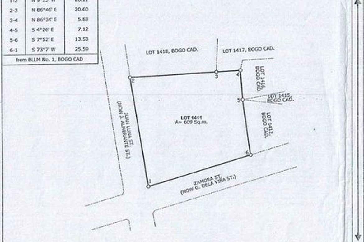 Commercial for Sale in Malingin, Bogo, Cebu – photo 3