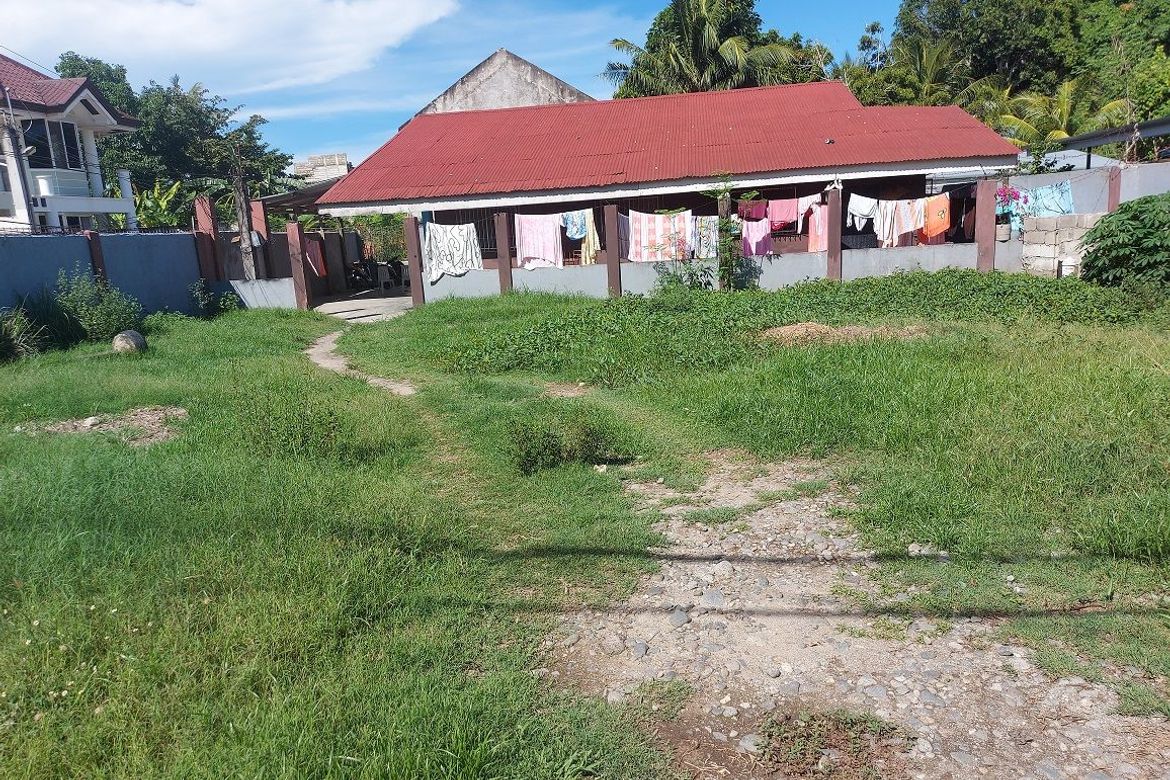 Commercial for Sale in Piapi, Dumaguete, Negros Oriental – photo 2