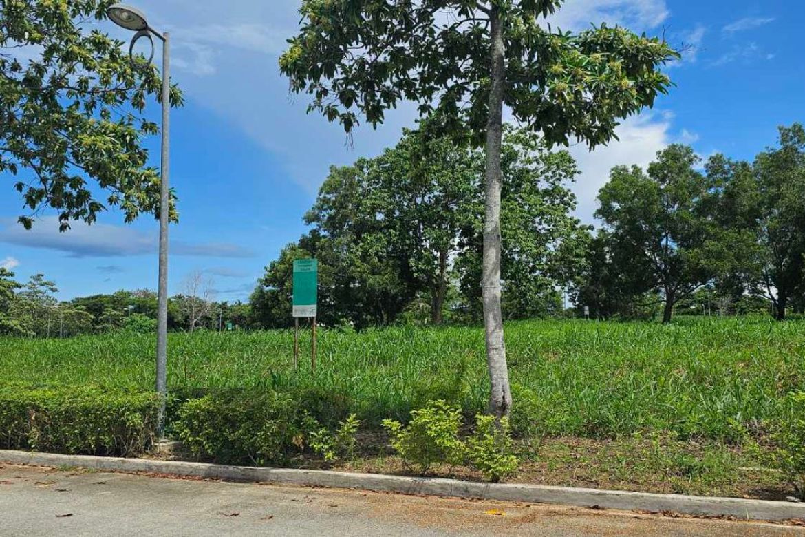 Commercial for Sale in Pittland, Cabuyao, Laguna – photo 2
