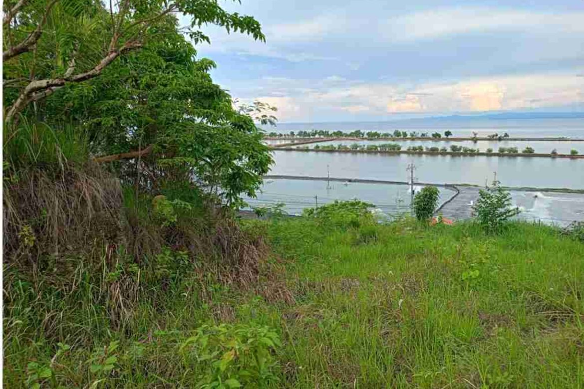 Commercial for Sale in Poblacion, Argao, Cebu – photo 2