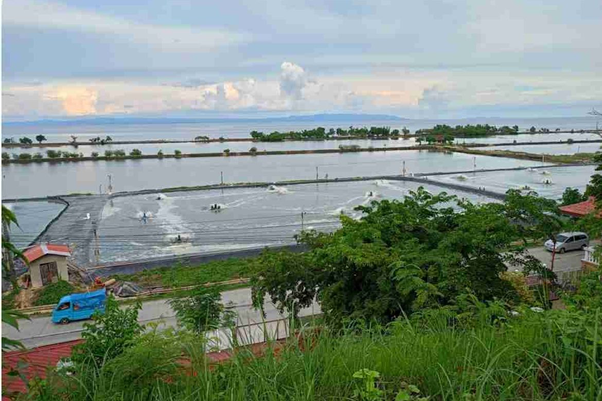 Commercial for Sale in Poblacion, Argao, Cebu – photo 3