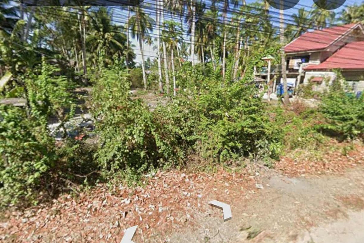 Commercial for Sale in Poblacion, Panglao, Bohol – photo 4