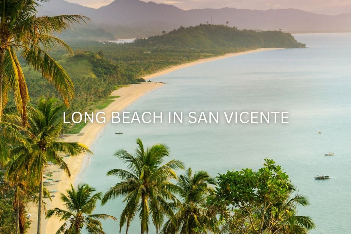 Commercial for Sale in Poblacion, San Vicente, Palawan – photo 6
