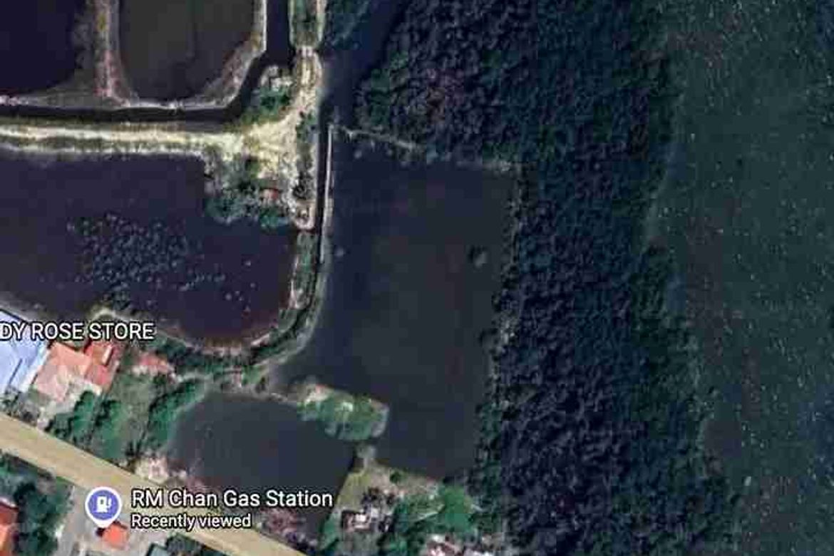 Commercial for Sale in Poblacion, Sibonga, Cebu – photo 4
