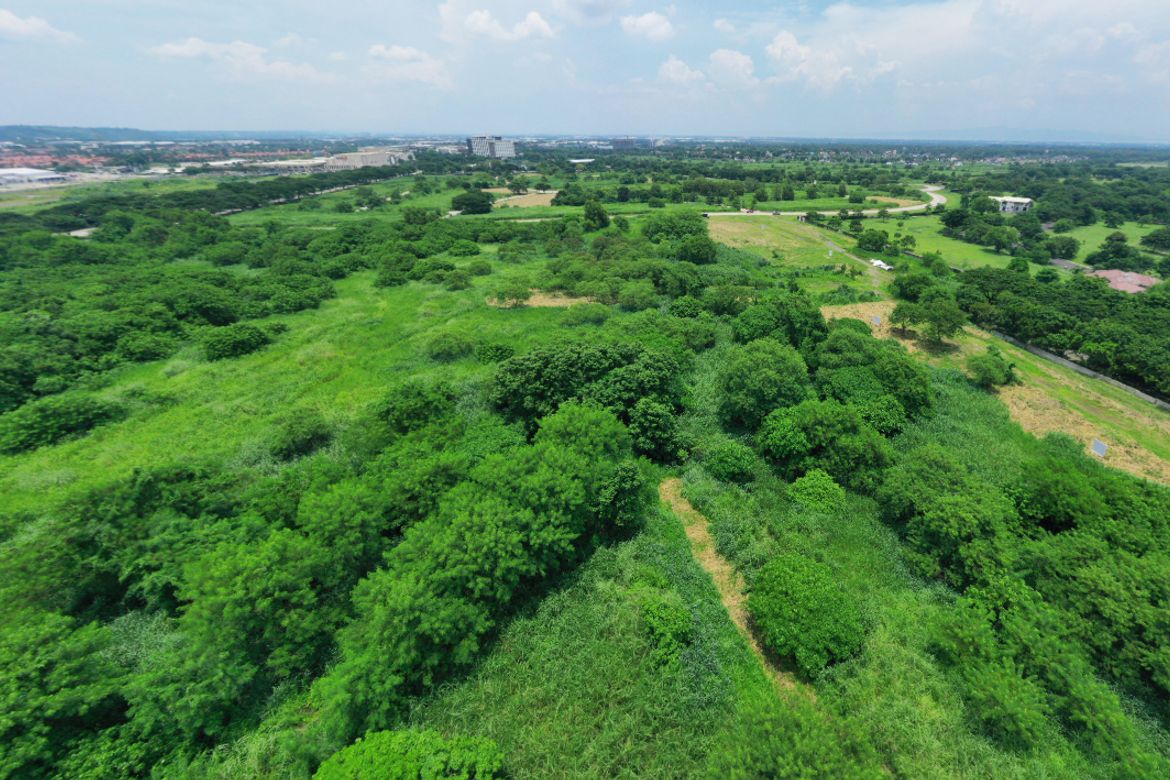 Commercial for Sale in Pulong Santa Cruz, Santa Rosa, Laguna – photo 6
