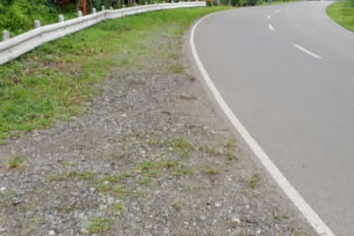Commercial for Sale in San Agustin, Samal, Davao del Norte – photo 3