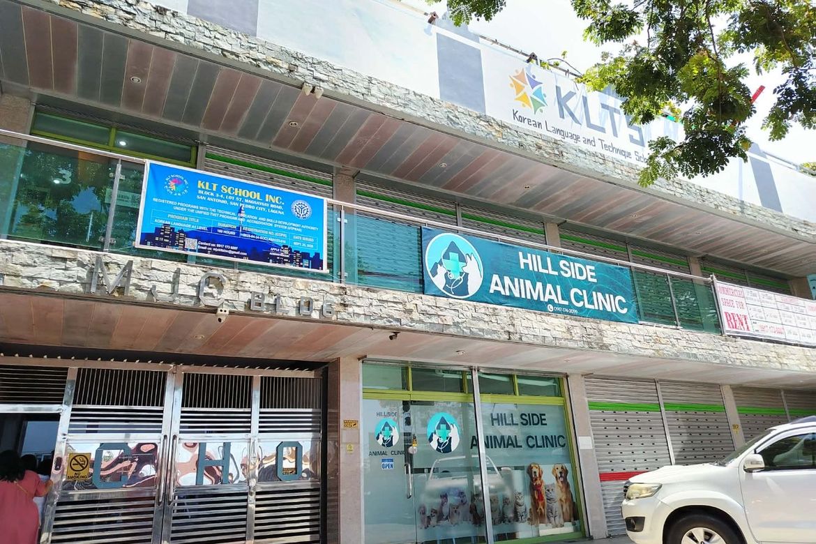 Commercial for Sale in San Antonio, San Pedro, Laguna – photo 2