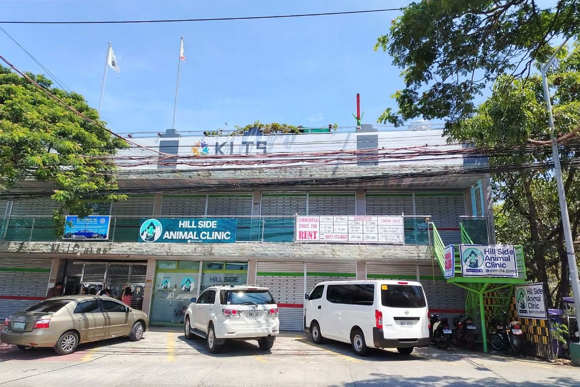 Commercial for Sale in San Antonio, San Pedro, Laguna – photo 4