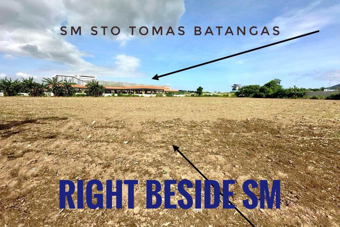 Commercial for Sale in San Bartolome, Santo Tomas, Batangas – photo 2