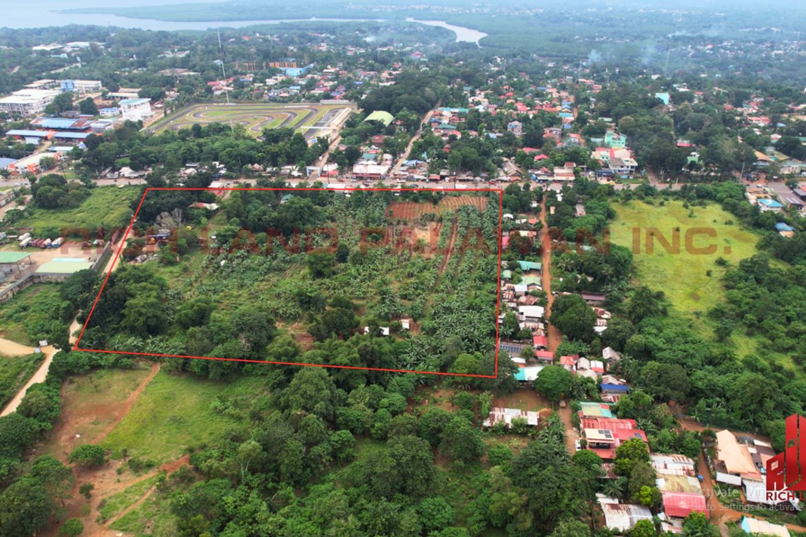 Commercial for Sale in Santa Monica, Puerto Princesa, Palawan – photo 3