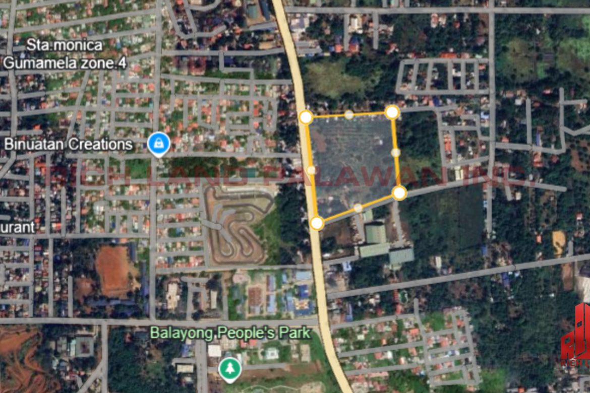 Commercial for Sale in Santa Monica, Puerto Princesa, Palawan – photo 6