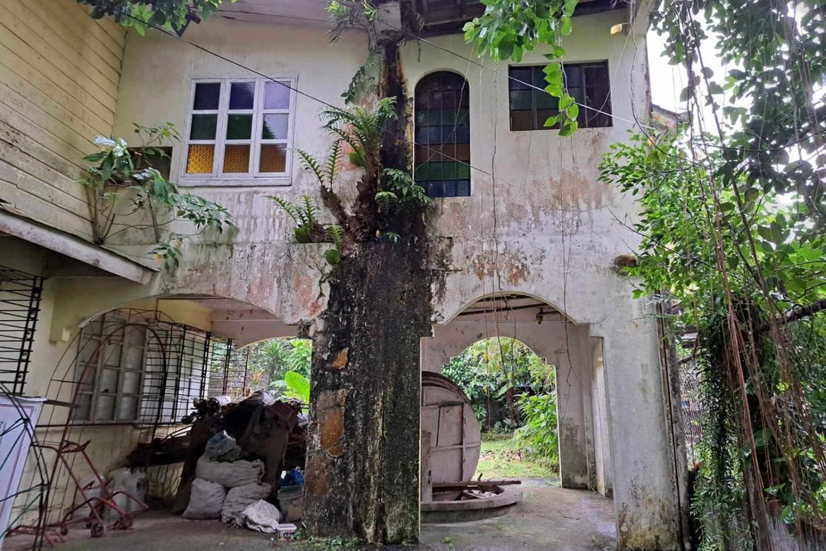 Commercial for Sale in Submakin, Labo, Camarines Norte – photo 2