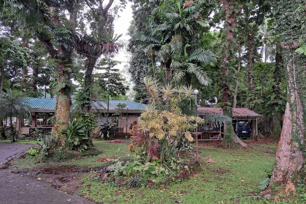Commercial for Sale in Submakin, Labo, Camarines Norte – photo 3
