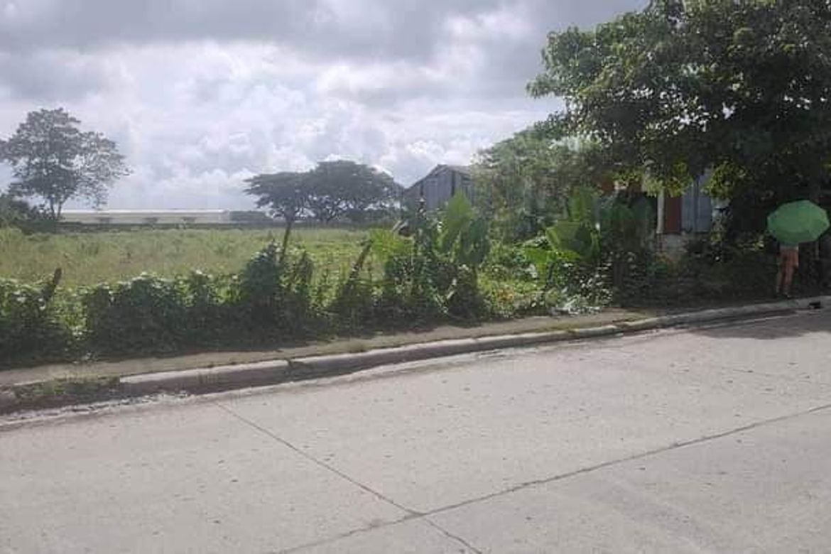 Commercial for Sale in Tacas, Iloilo City, Iloilo – photo 4