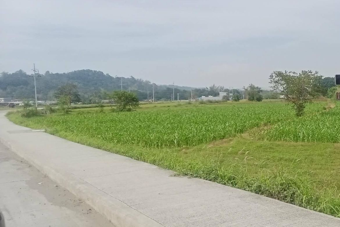 Commercial for Sale in Tanqui, San Fernando, La Union – photo 2