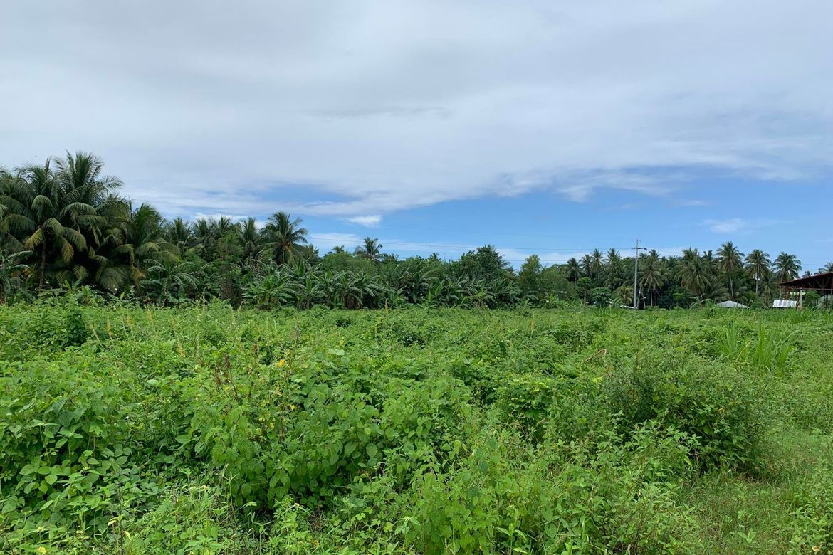 Commercial for Sale in Tugawe, Dauin, Negros Oriental – photo 6